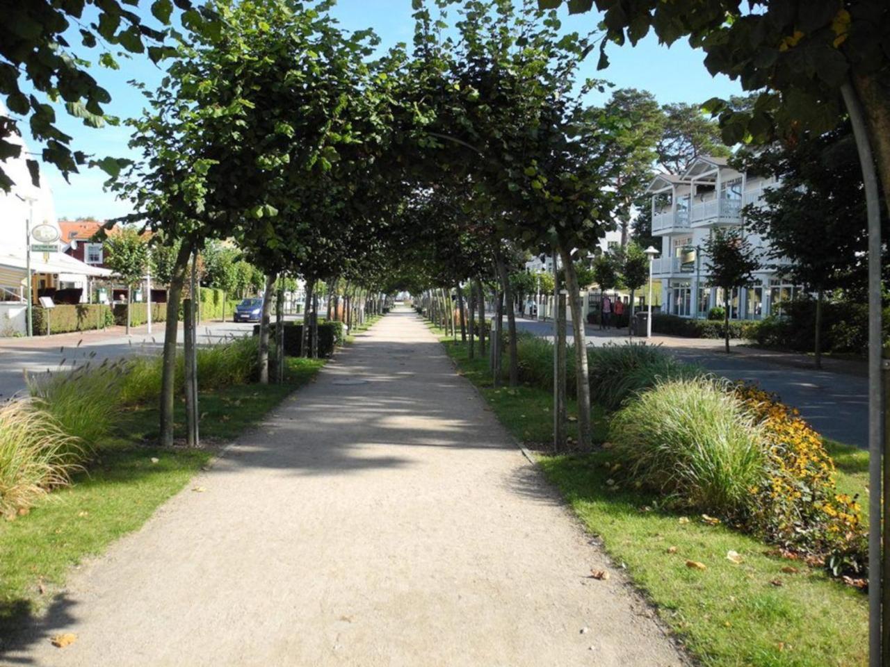 Duenenwald - Baabe Villa Exteriör bild